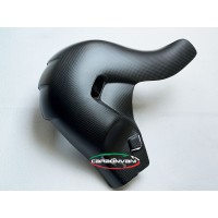 Carbonvani - Ducati Panigale / Streetfighter V4 / S Carbon Fiber Euro 5 Spec OE Exhaust (Collector) guard (2021+) Carbonvani - Ducati Panigale / Streetfighter V4 / S Carbon Fiber Euro 5 Spec OE Exhaust (Collector) guard (2021+)